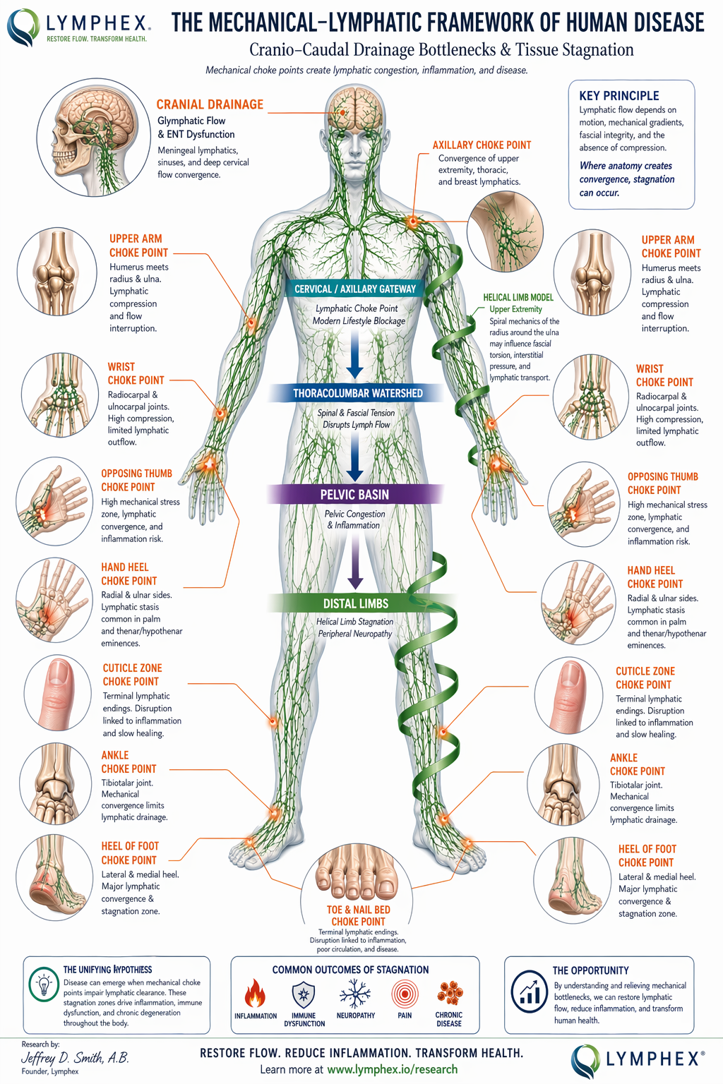 The Mechanical-Lymphatic Framework of Human Disease